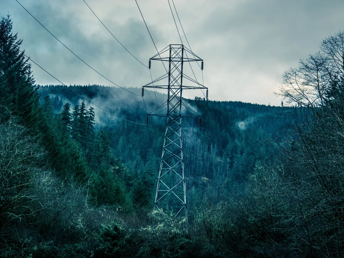 Tall high voltage transmission tower rising above misty forest trees