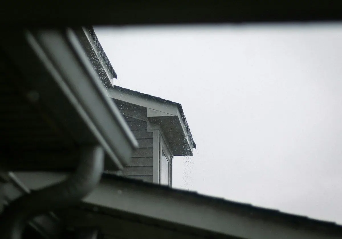Roof eave and gutter line on a gray-sided house