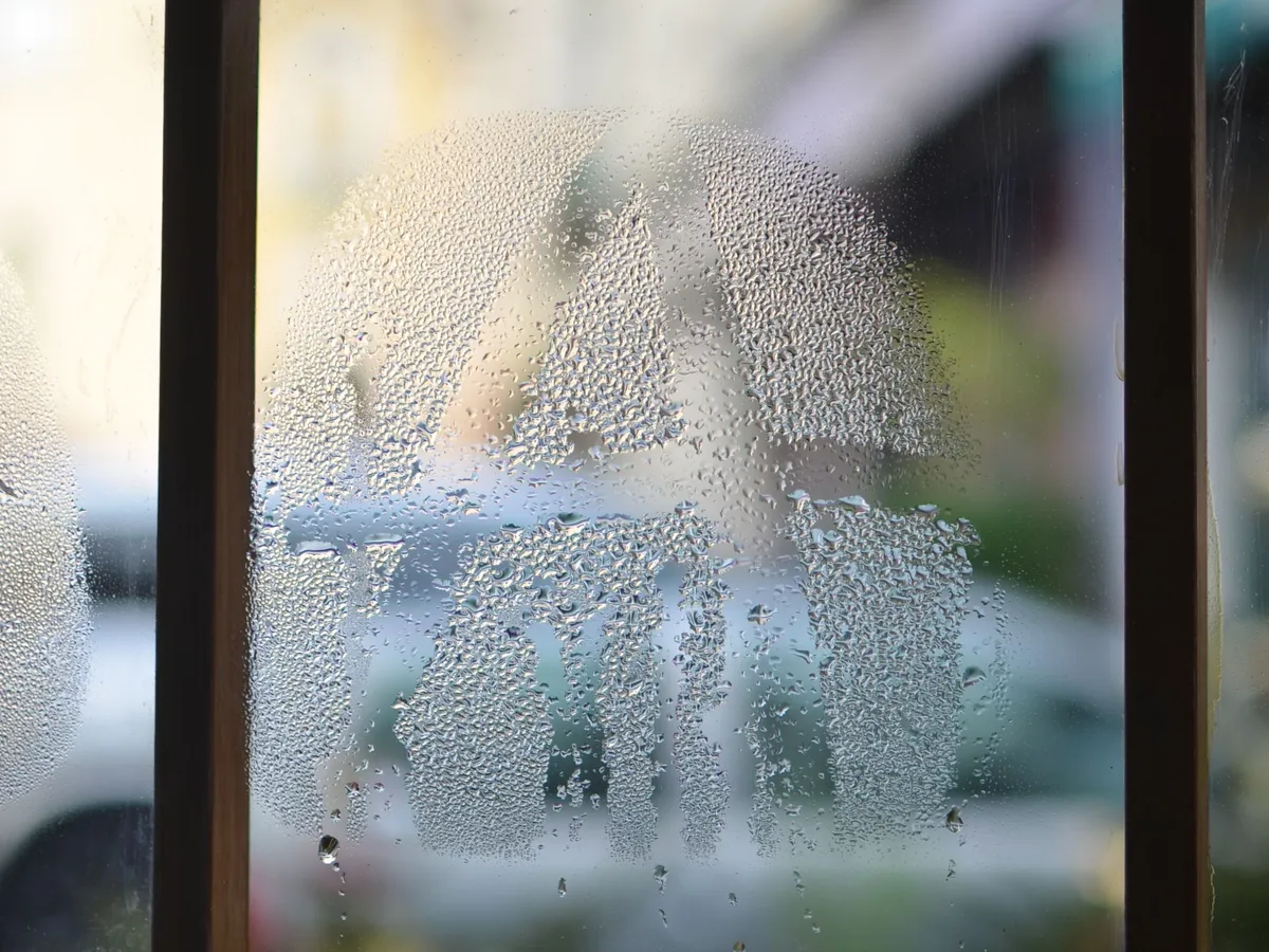 Close-up of condensation droplets on a window pane