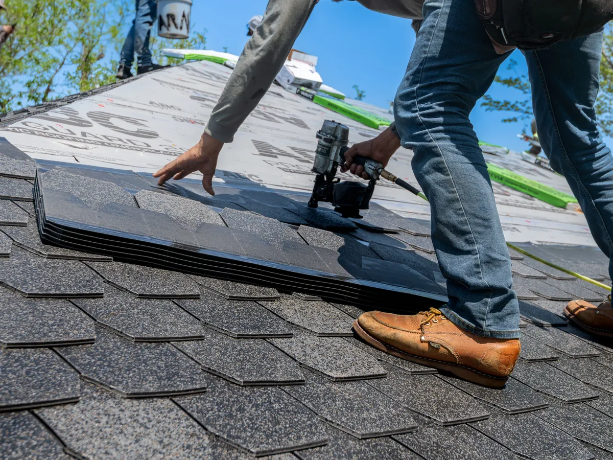 Roofer in jeans leaning over a roof and nailing dark asphalt shingles with a pneumatic nailer over printed underlayment