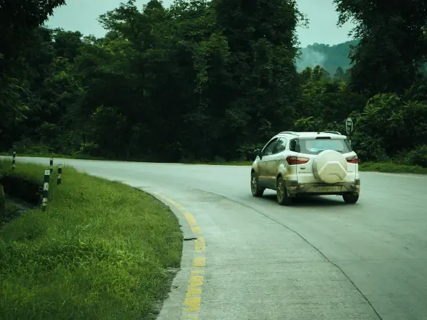SUV driving on a road through a green forest