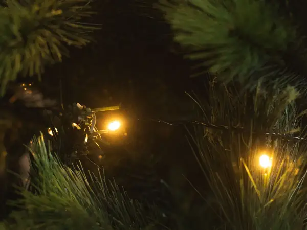 Evergreen branches decorated with warm glowing string lights